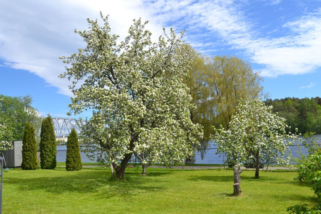 Lossiranta Lodge Савонлинна Экстерьер фото